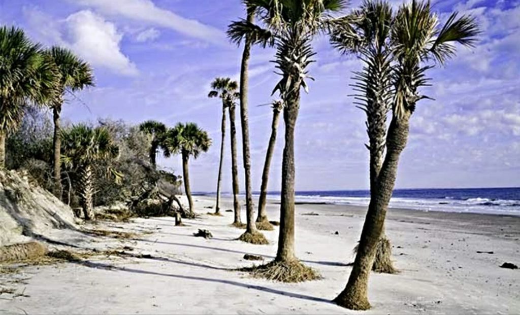 Hunting Island state park Beach, camping, Lighthouse ...